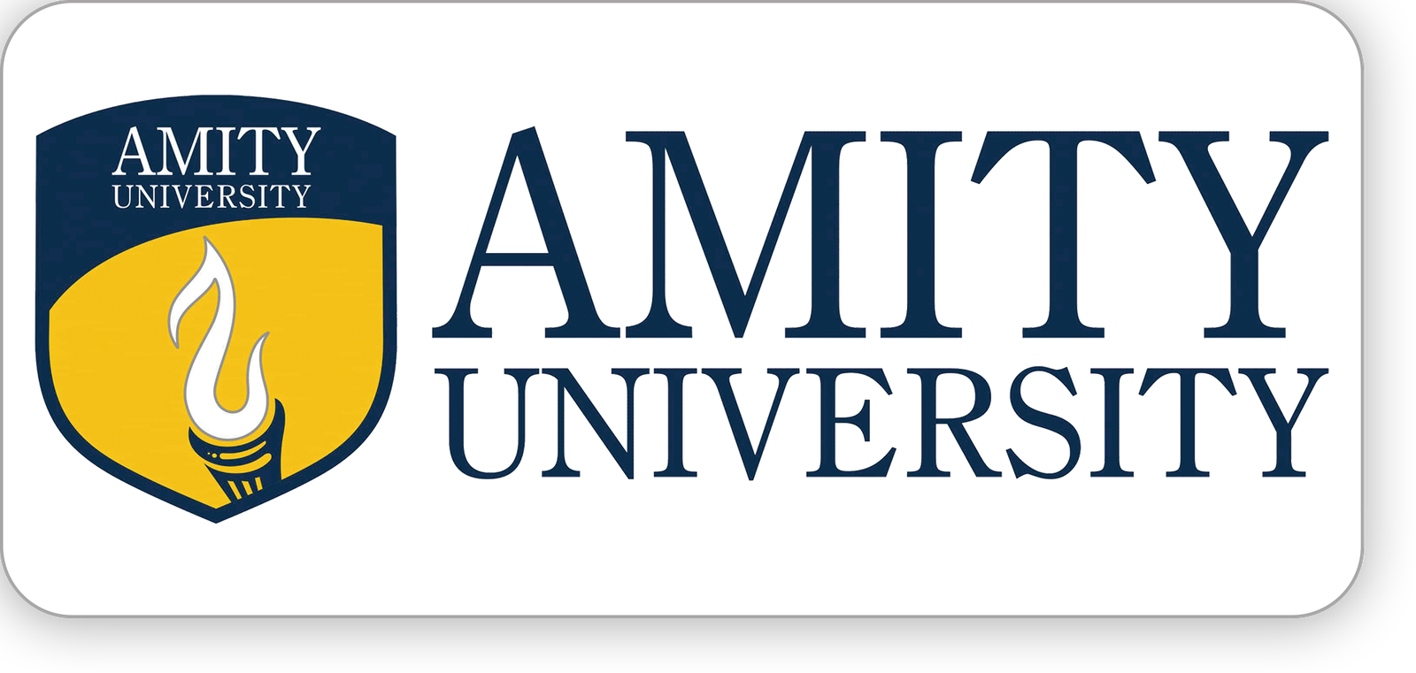 Amity University