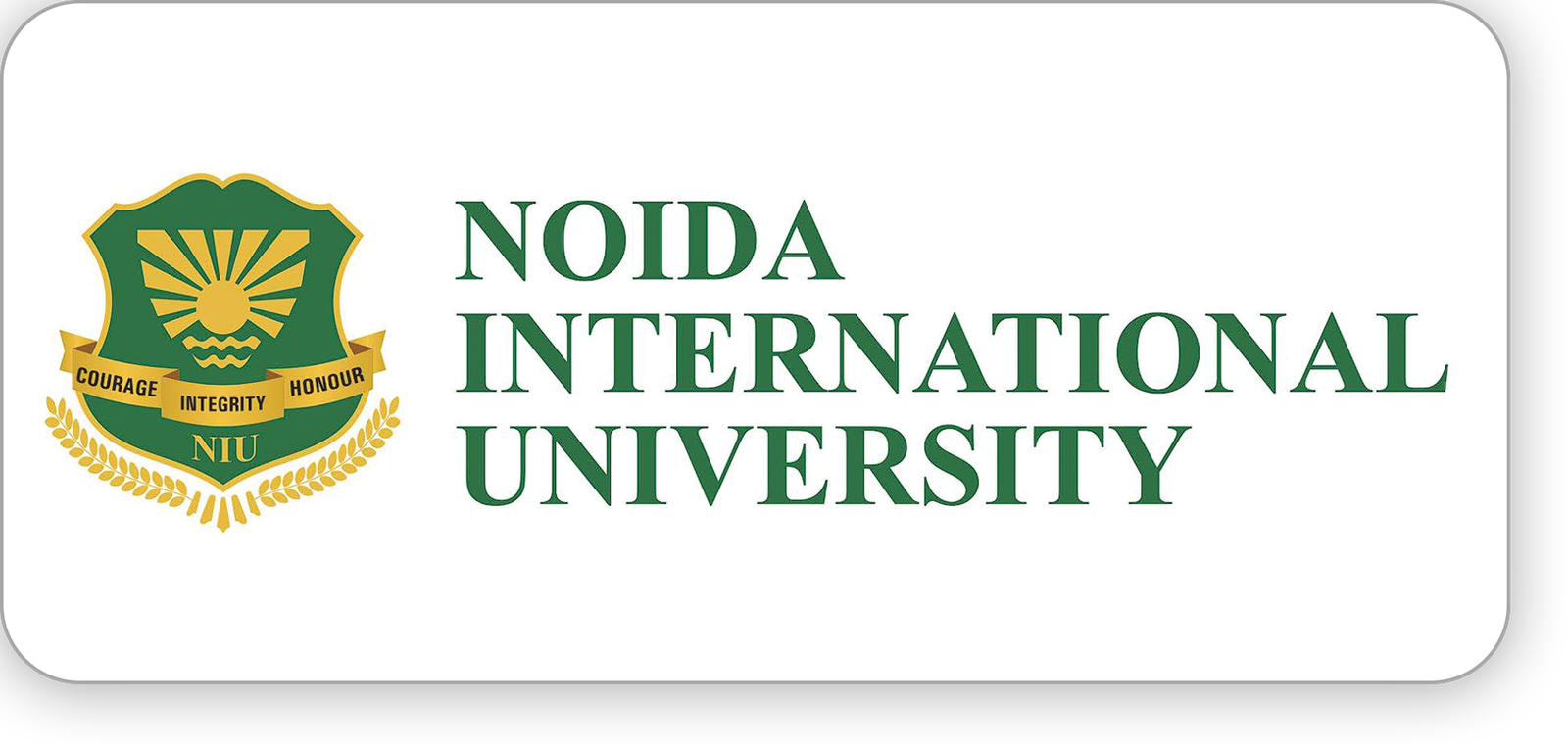 Noida International University